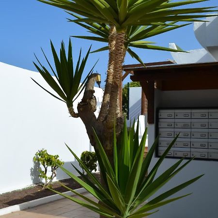 Dunasol 341 By Best Holidays Fuerteventura Corralejo Eksteriør billede